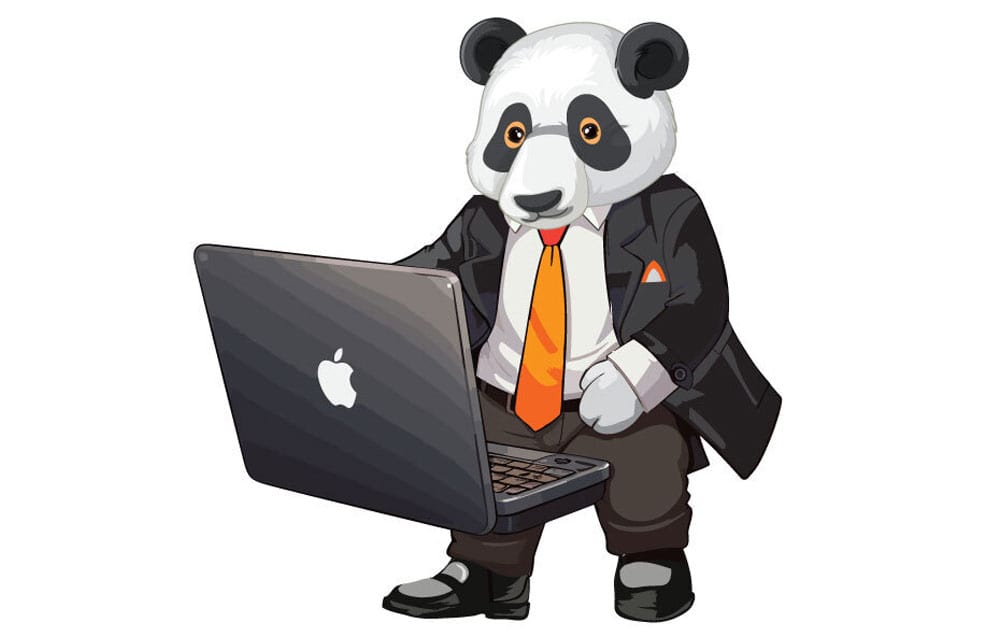 Panda with laptop graphic